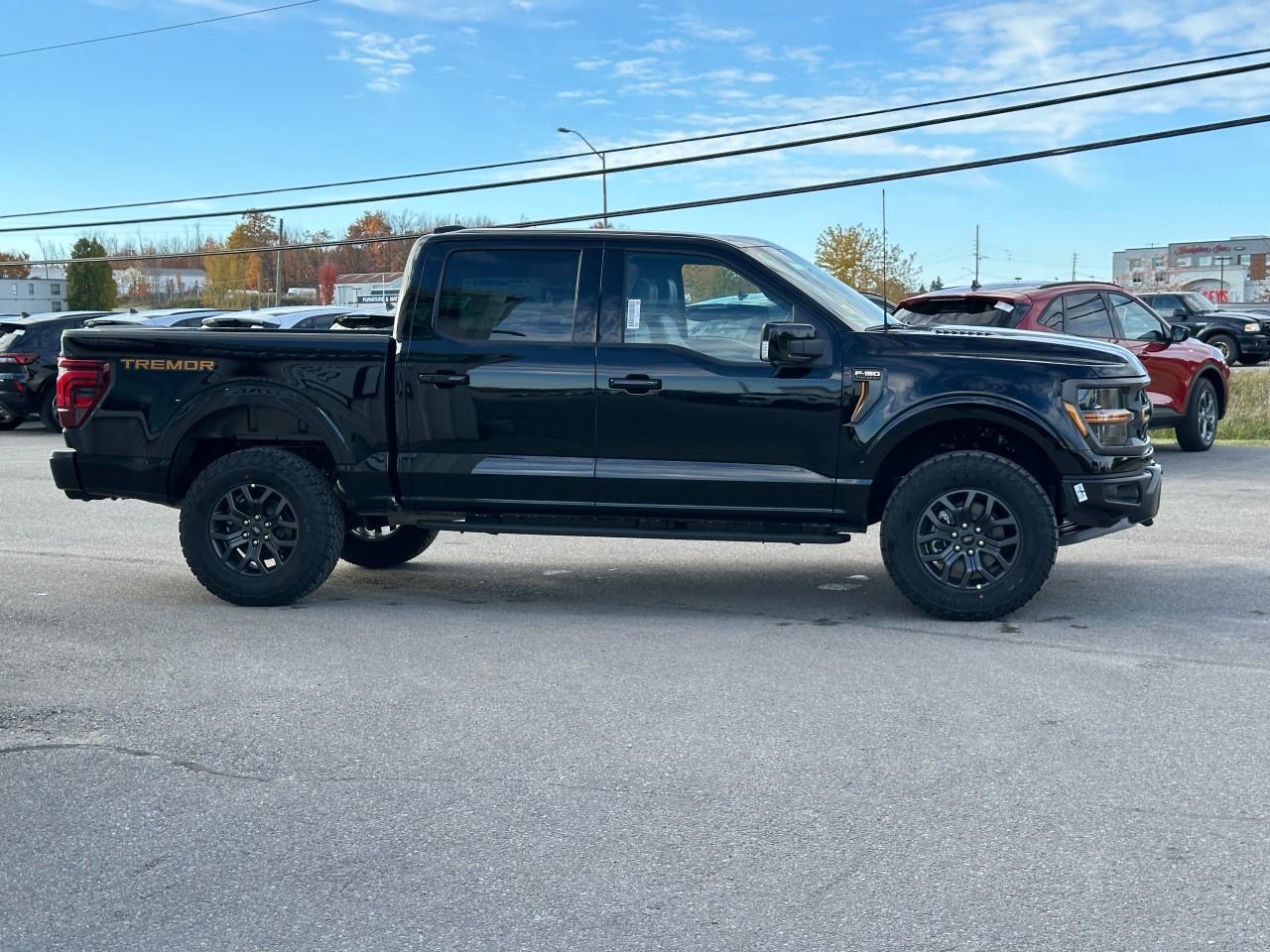 2025 Ford F-150 Tremor 4WD SuperCrew 5.5' Box Photo4