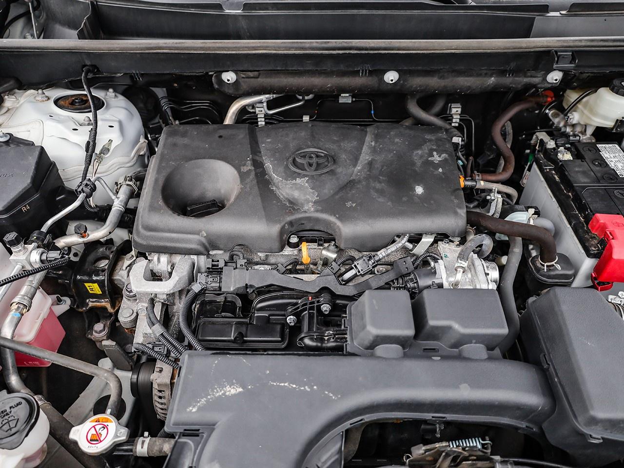 2024 Toyota RAV4 LE Photo4