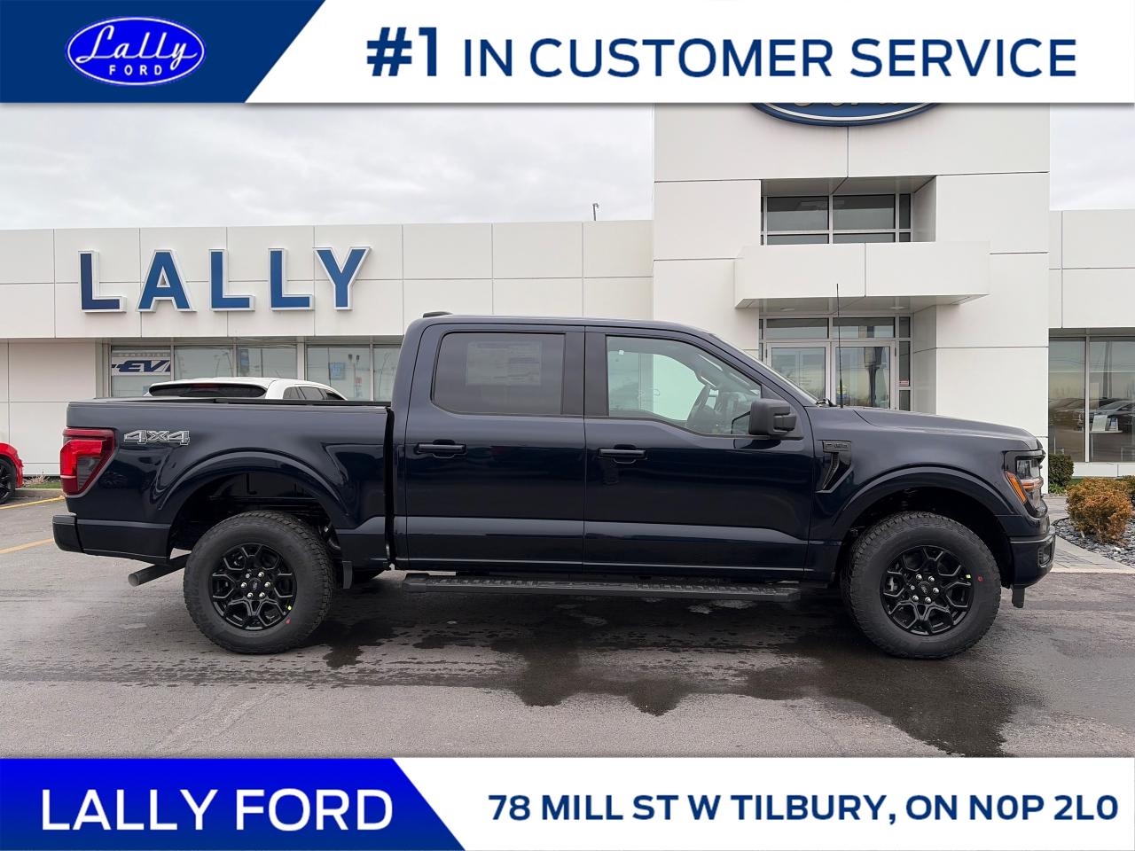 2025 Ford F-150 XLT Photo