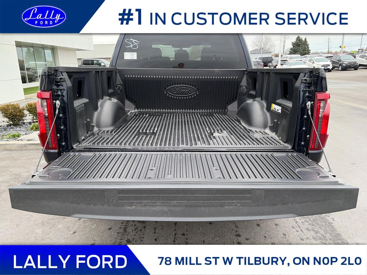 2025 Ford F-150 XLT Photo