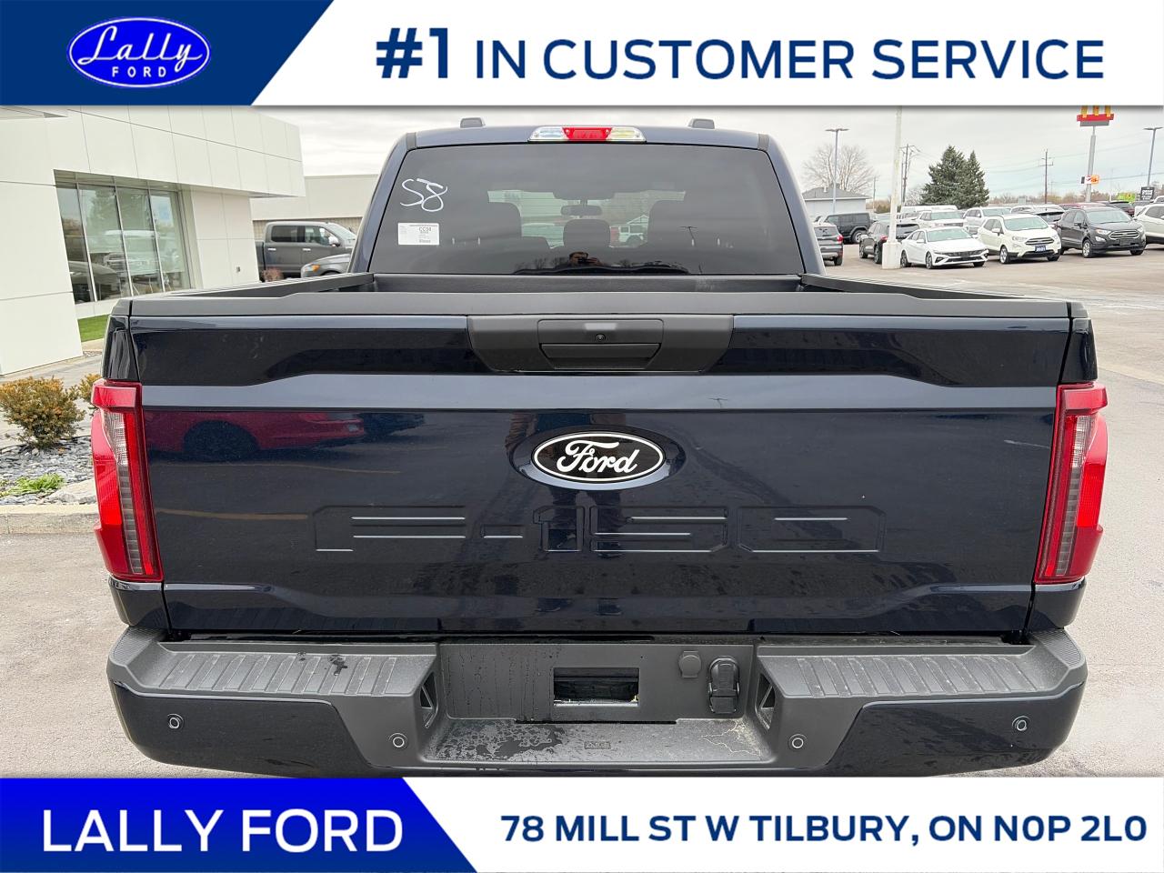 2025 Ford F-150 XLT Photo