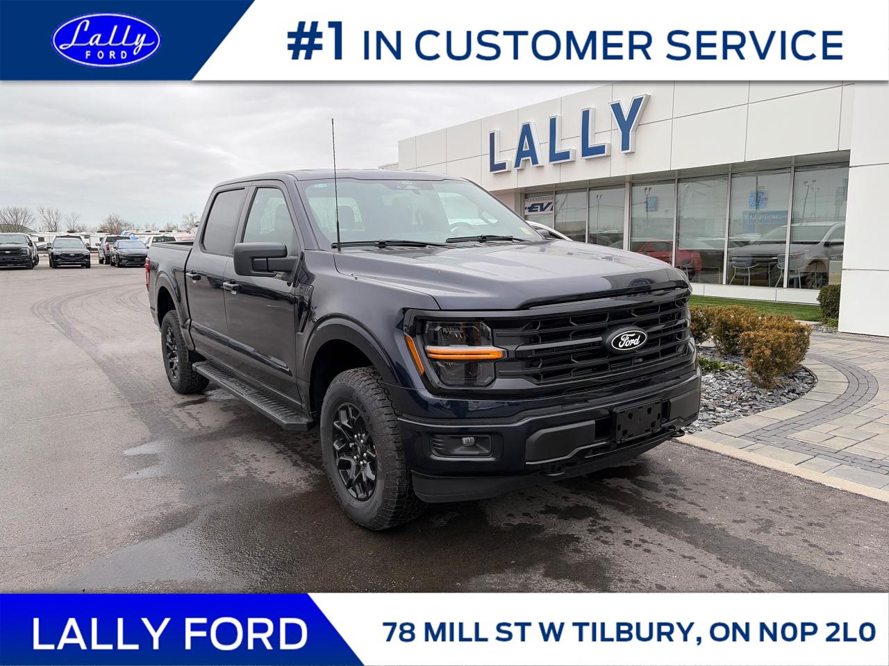 New 2025 Ford F-150 XLT for sale in Tilbury, ON