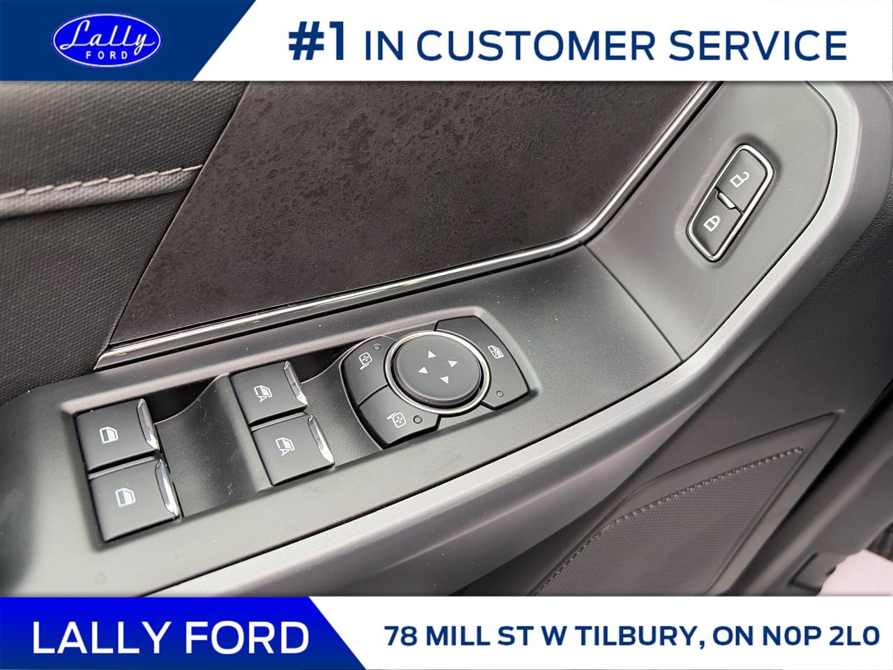 2025 Ford F-150 XLT Photo