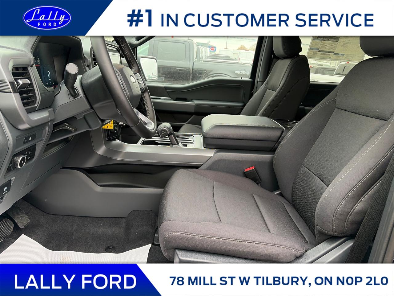 2025 Ford F-150 XLT Photo