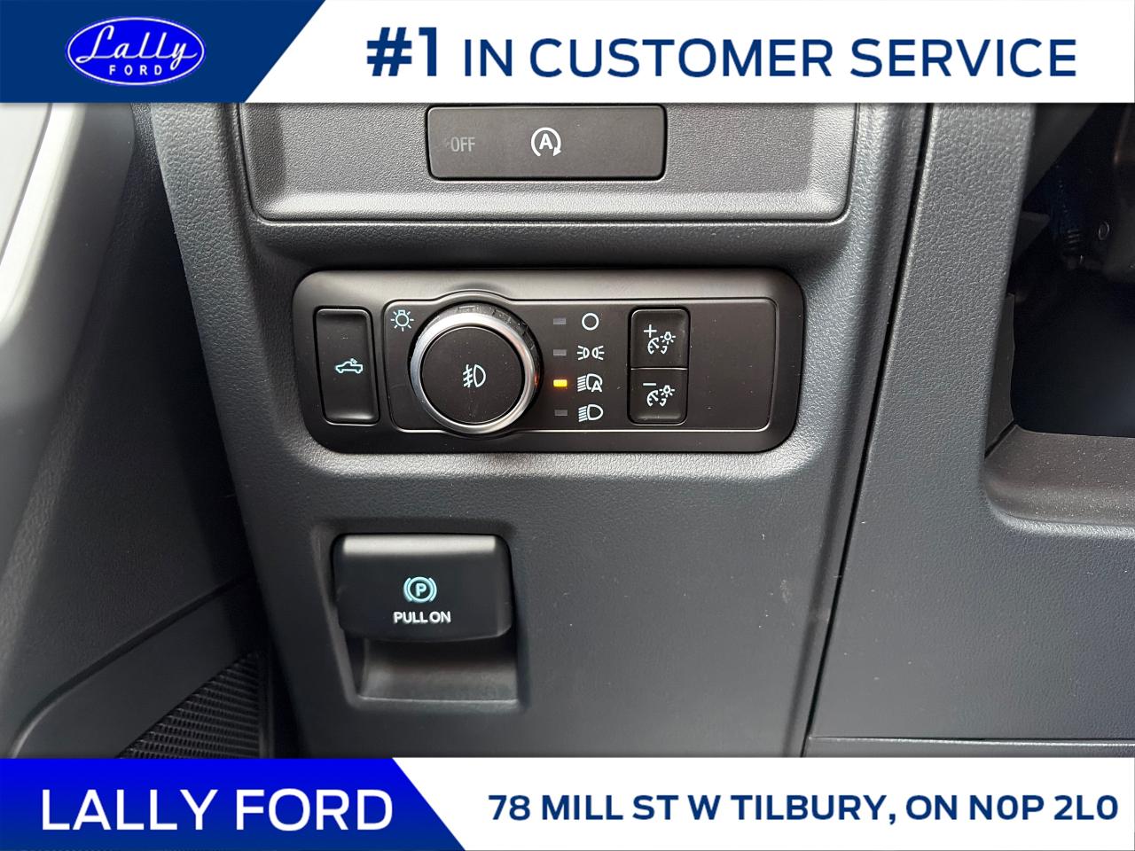 2025 Ford F-150 XLT Photo