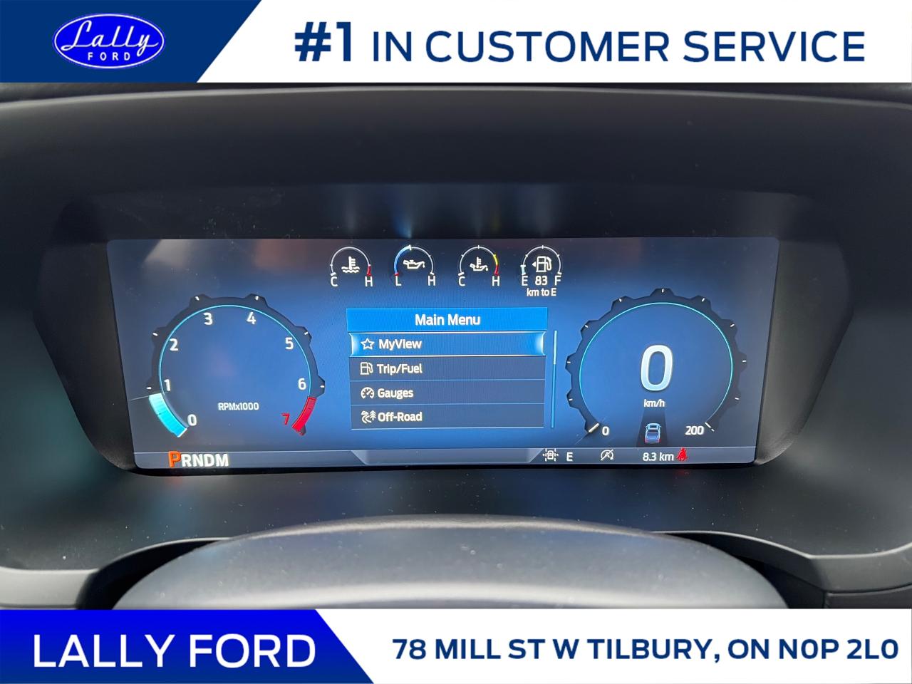 2025 Ford F-150 XLT Photo