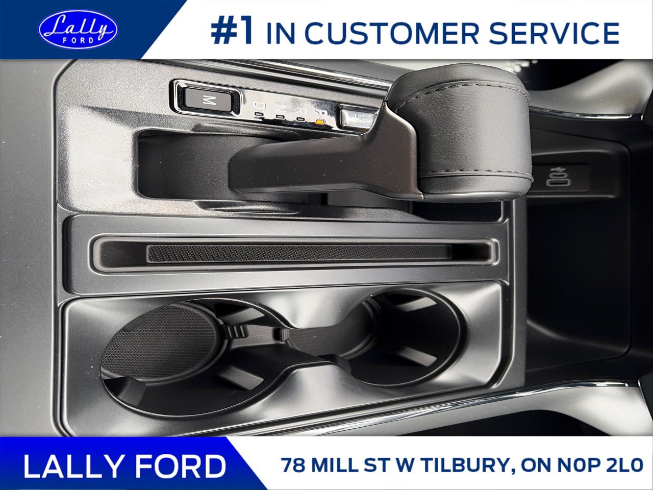 2025 Ford F-150 XLT Photo