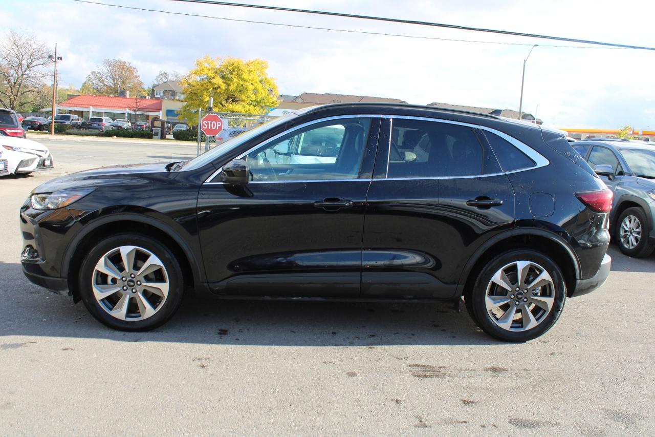 2024 Ford Escape Platinum AWD - Photo #4