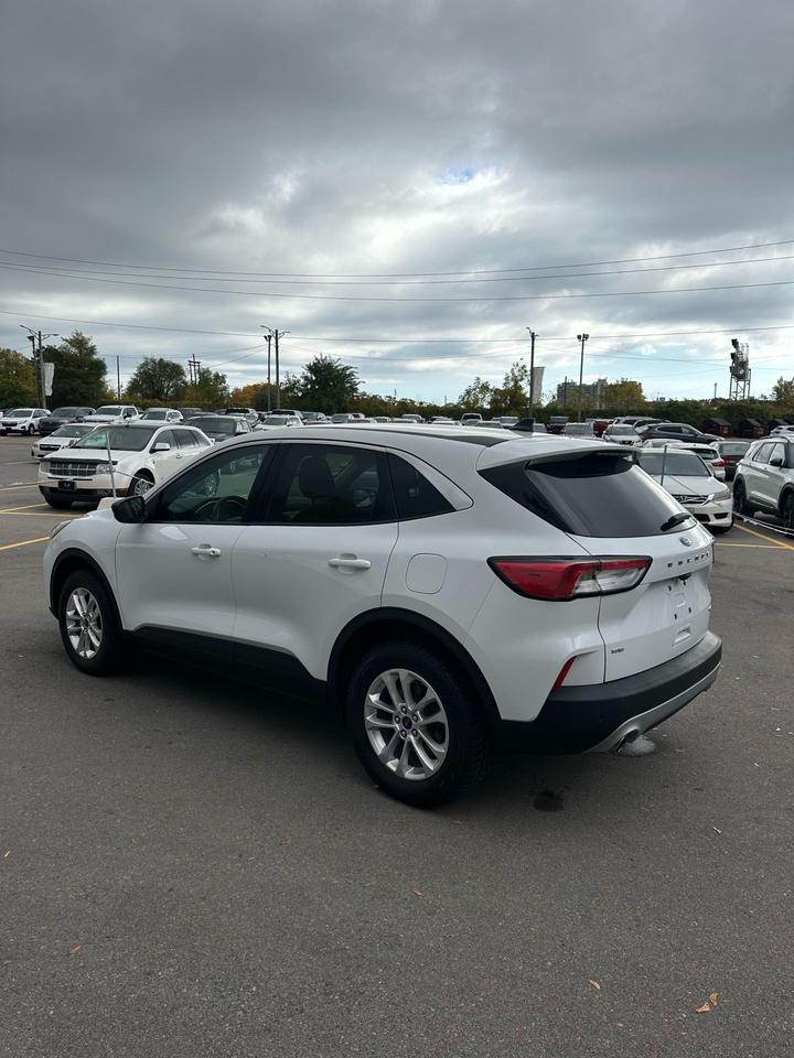 2022 Ford Escape SE Photo