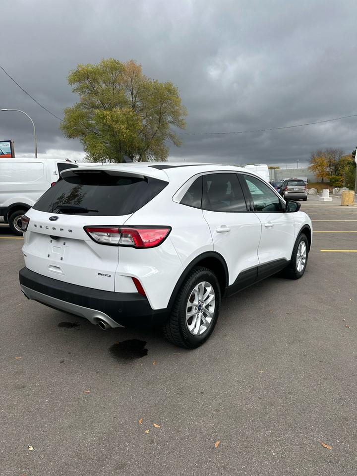 2022 Ford Escape SE Photo