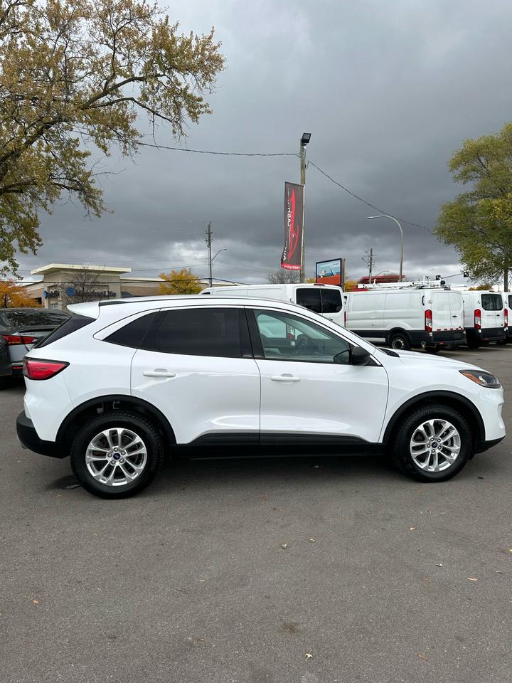 2022 Ford Escape SE Photo