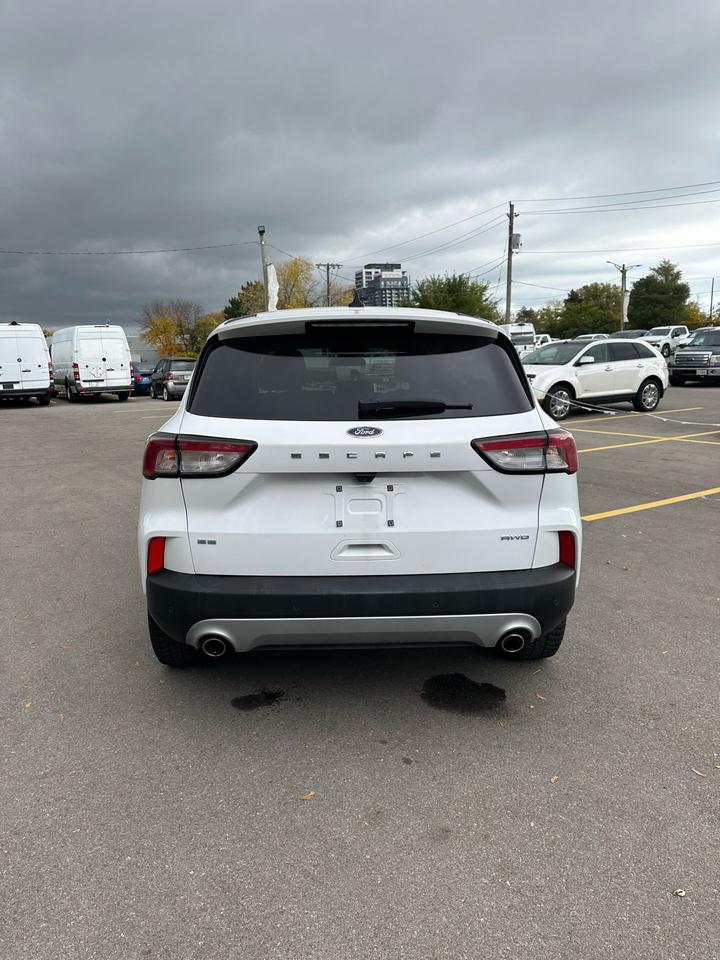 2022 Ford Escape SE Photo