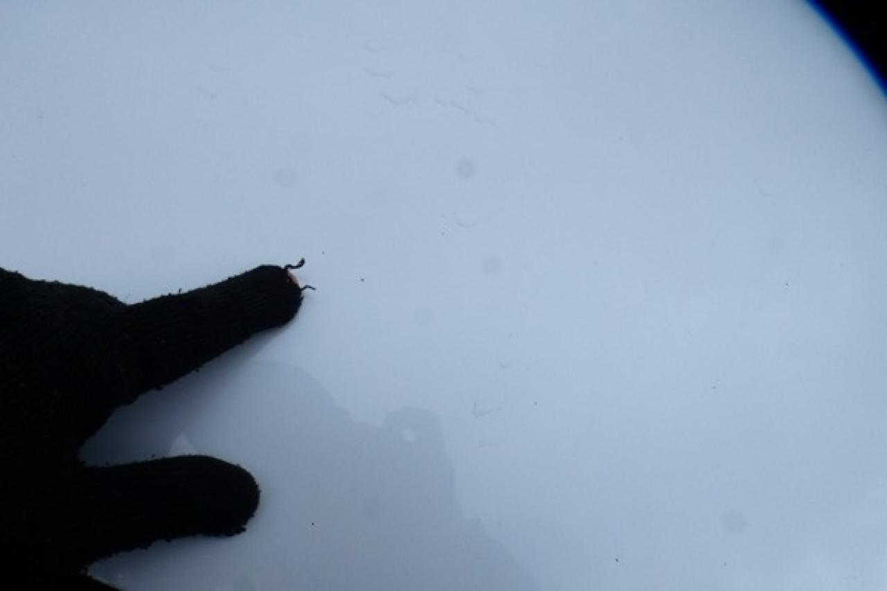 2024 Nissan Rogue SV AWD w/Htd cloth, moonroof, BUC - Photo #25