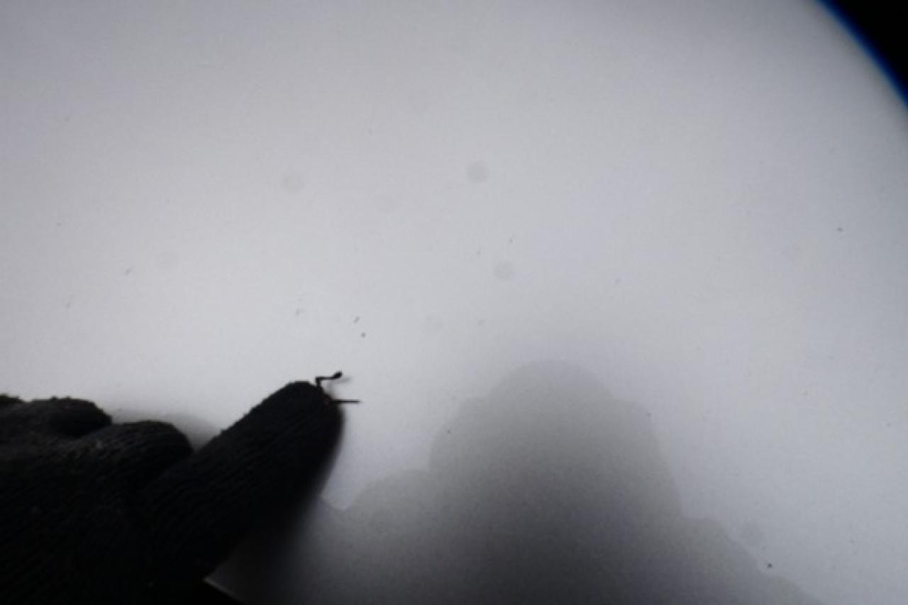 2024 Nissan Rogue SL AWD w/Htd Leather, pano S/R, NAV, BUC - Photo #29