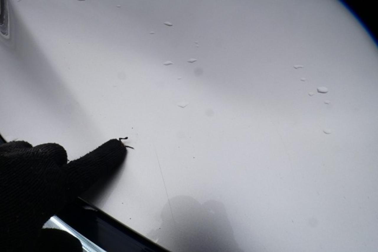 2024 Nissan Rogue SL AWD w/Htd Leather, pano S/R, NAV, BUC - Photo #31