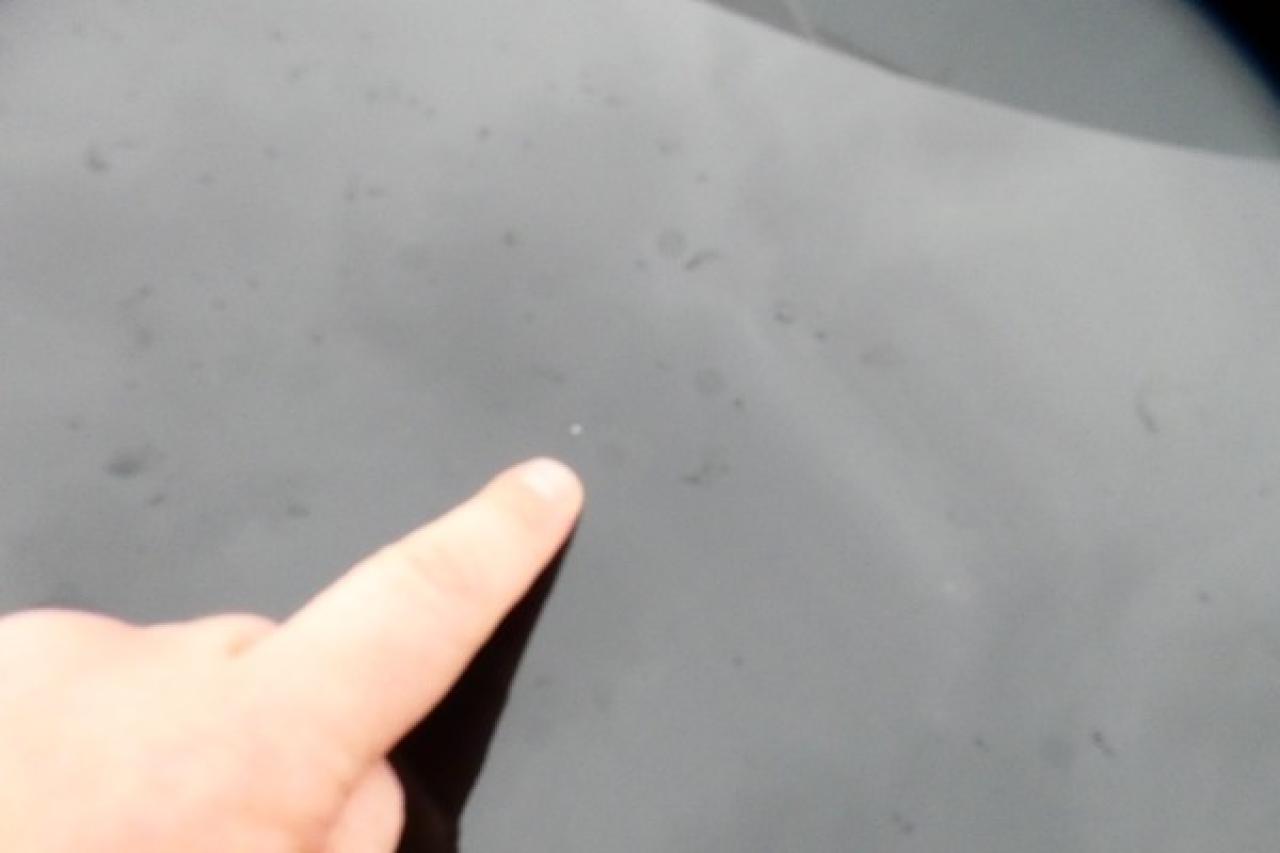 2024 Nissan Sentra SV w/Htd cloth, BUC - Photo #26