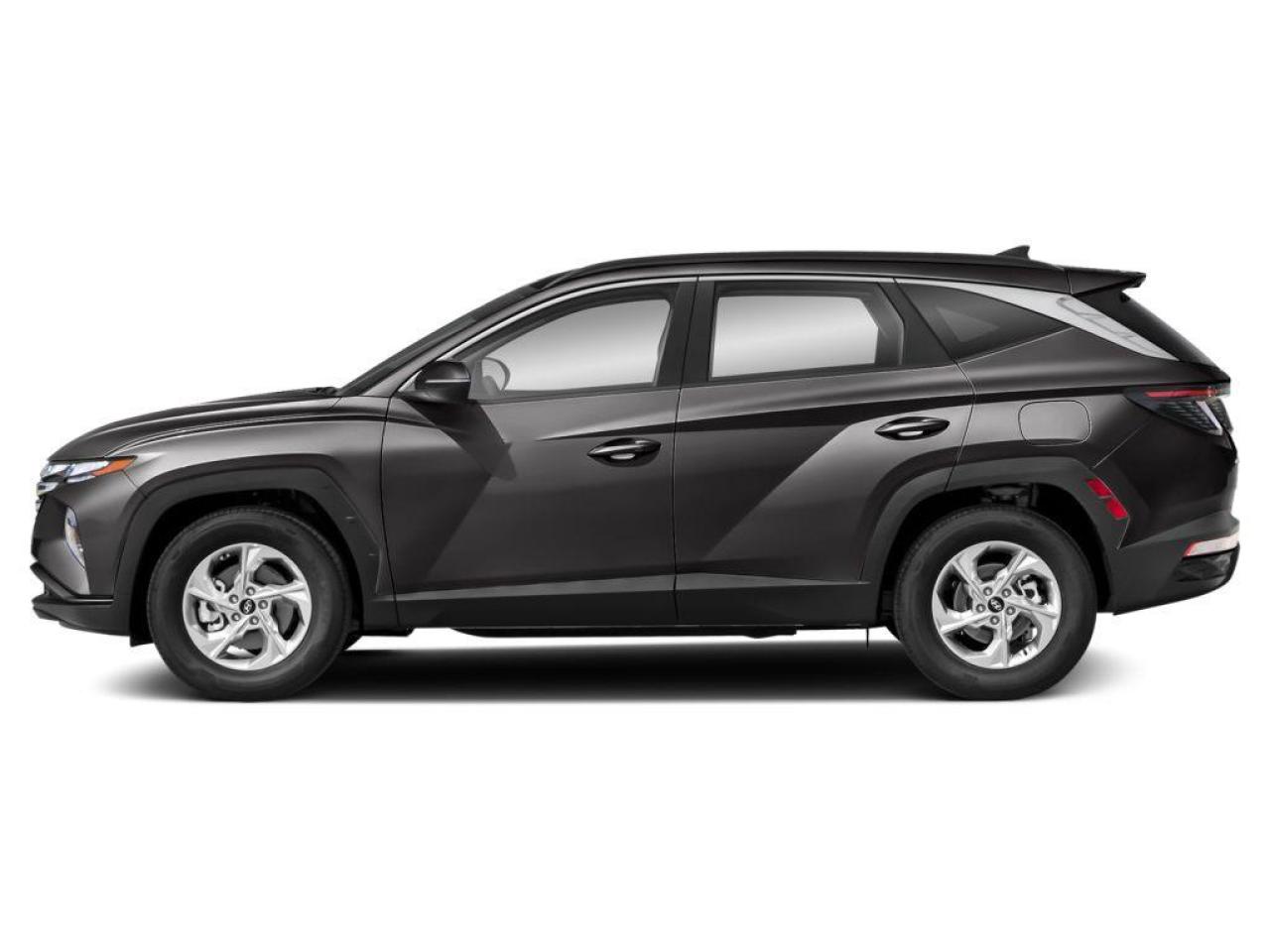 2023 Hyundai Tucson Preferred Photo