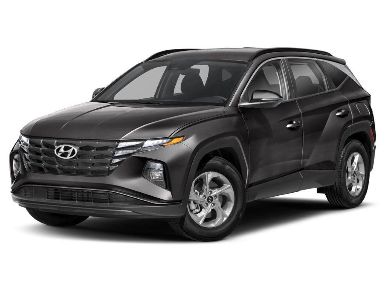 2023 Hyundai Tucson Preferred Photo0