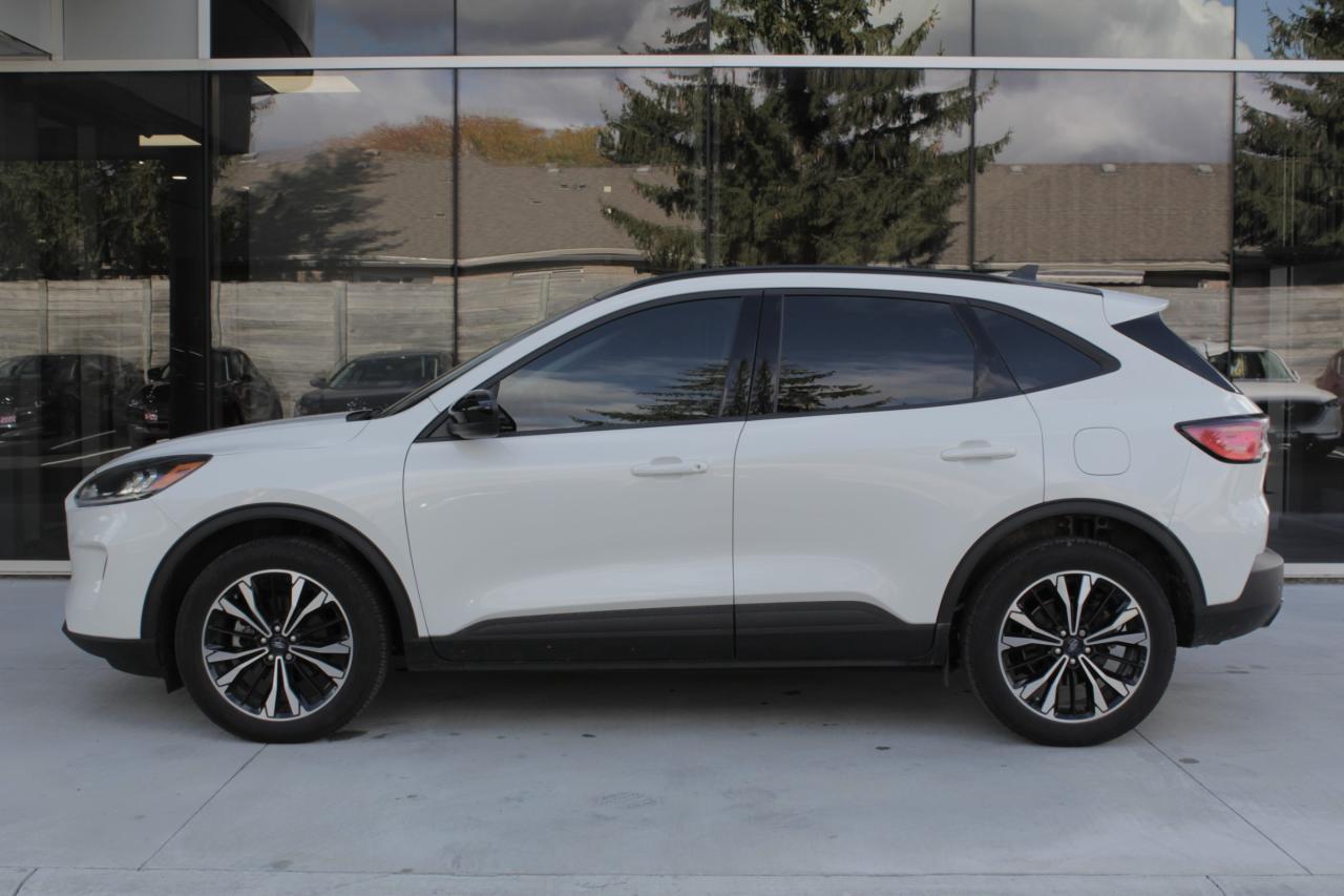 2022 Ford Escape SEL Photo