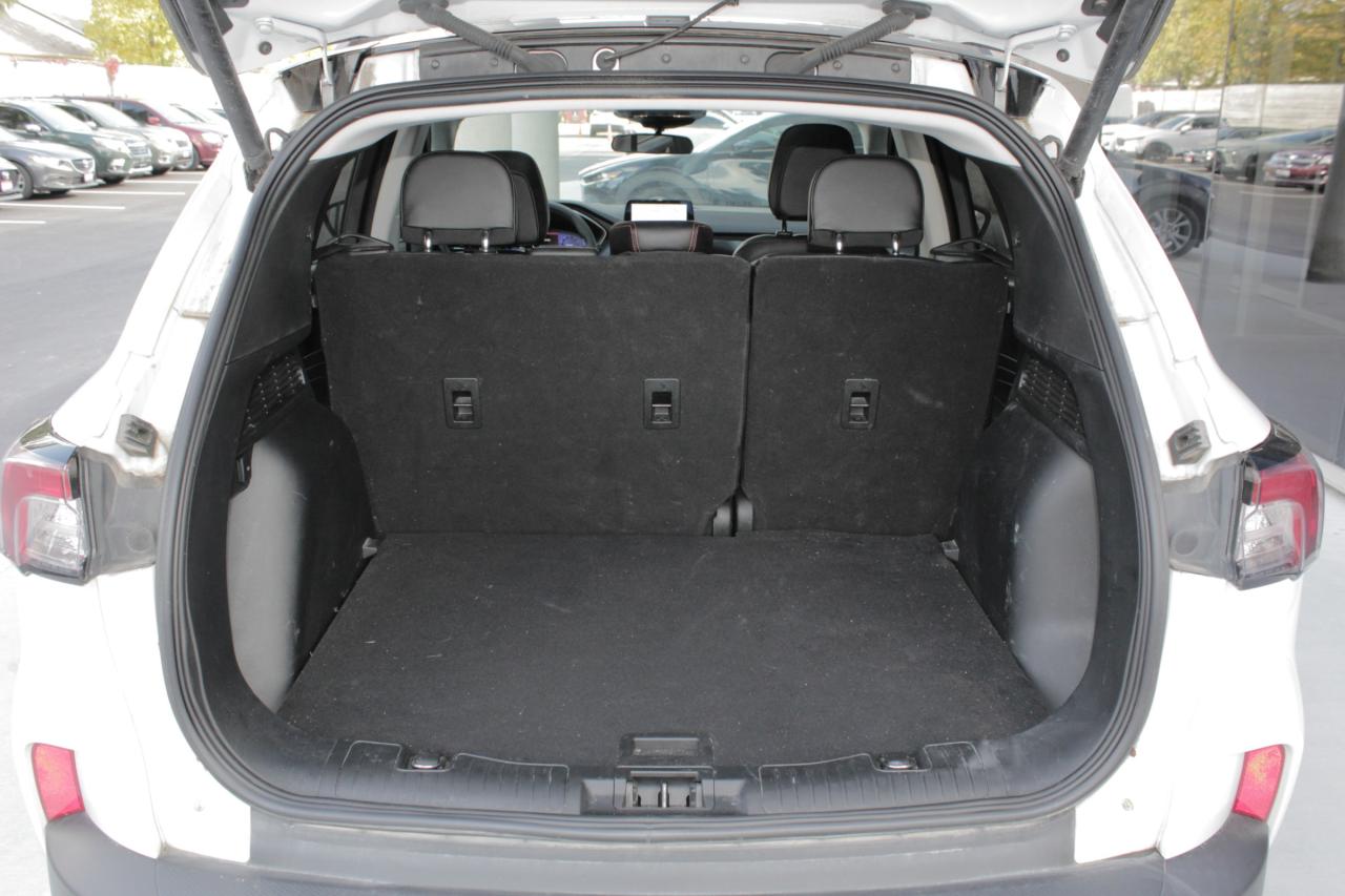 2022 Ford Escape SEL Photo