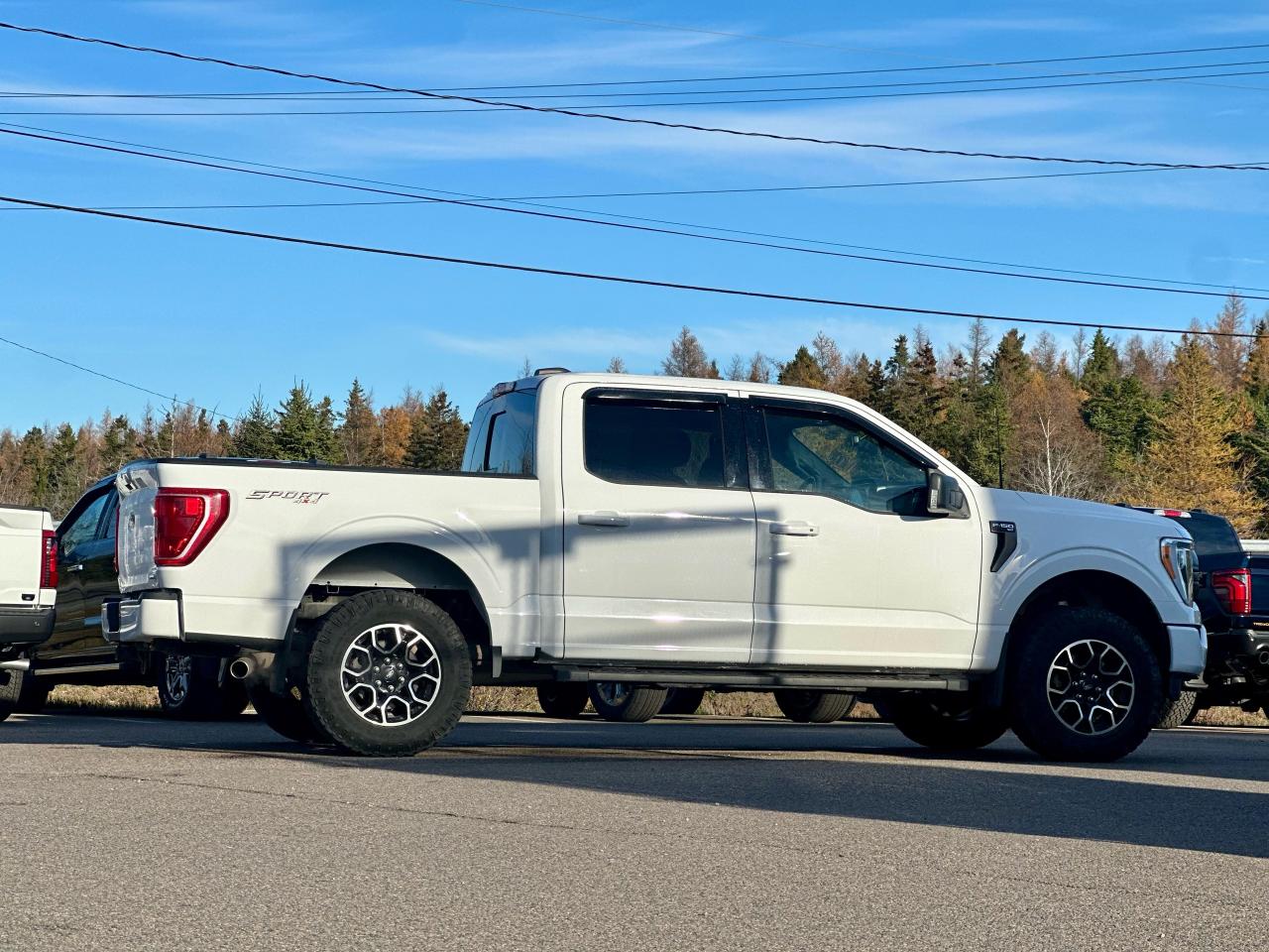 2022 Ford F-150 XLT 4WD SUPERCREW Photo5