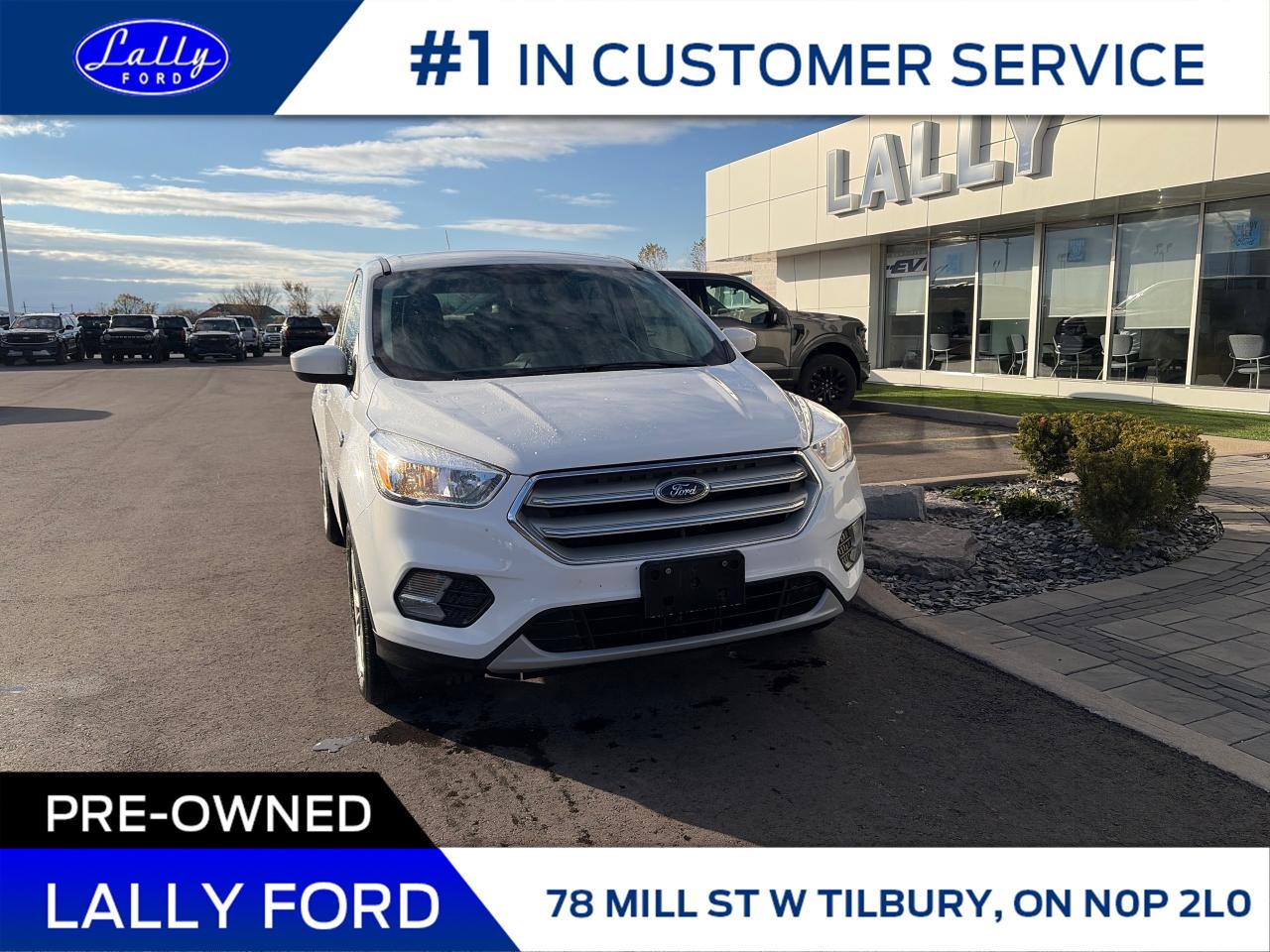 Used 2019 Ford Escape SE AWD, Local Trade!! for sale in Tilbury, ON