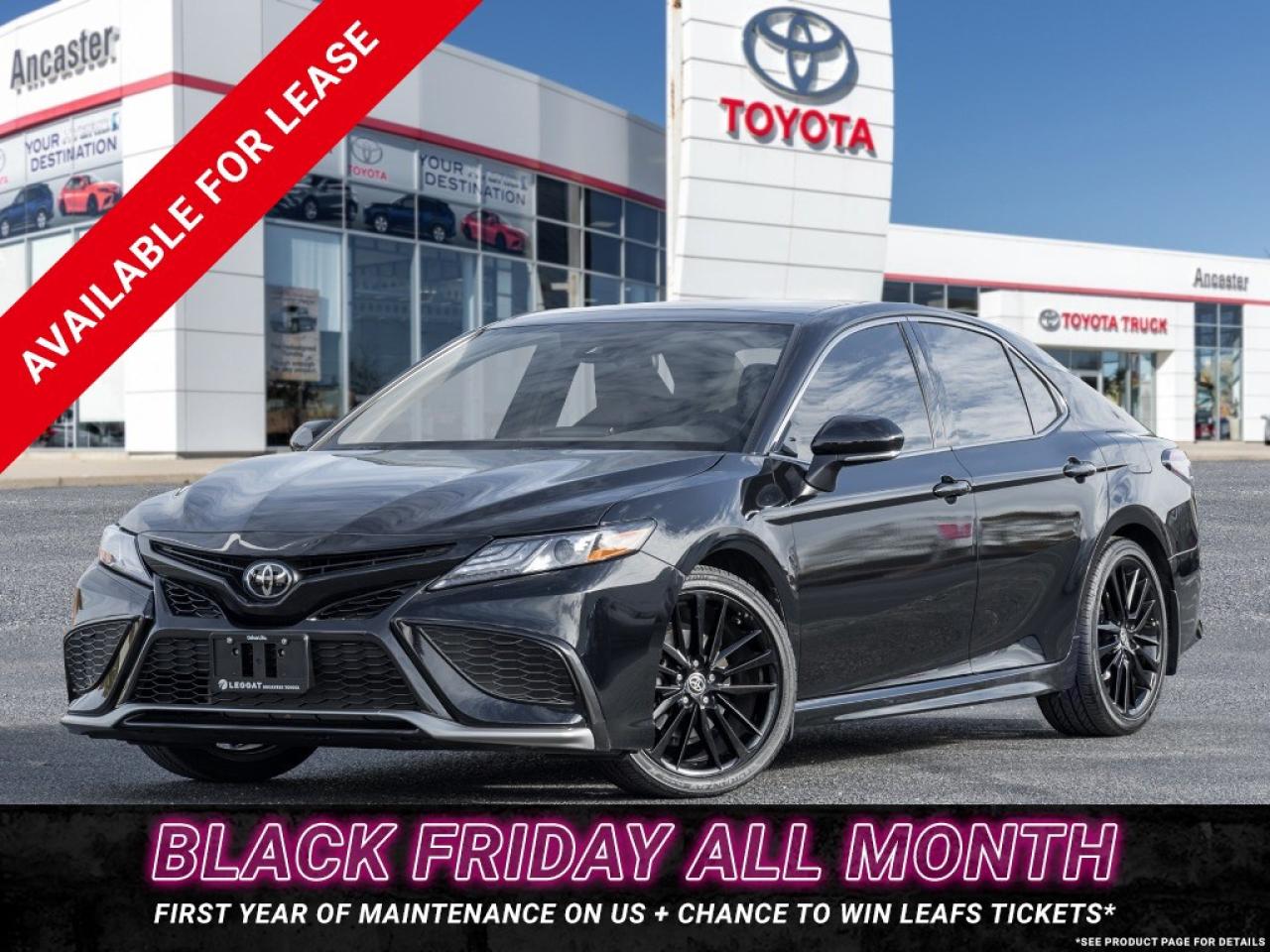 2024 Toyota Camry XSE Auto AWD Photo0