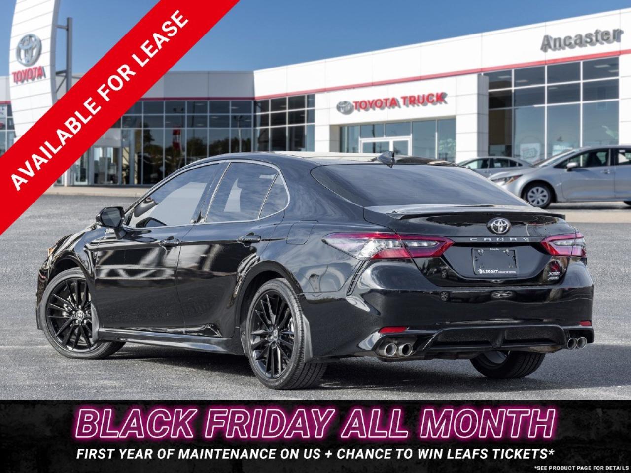 2024 Toyota Camry XSE Auto AWD Photo4