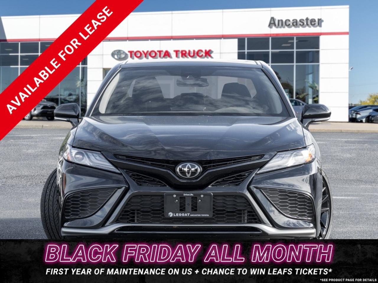 2024 Toyota Camry XSE Auto AWD Photo