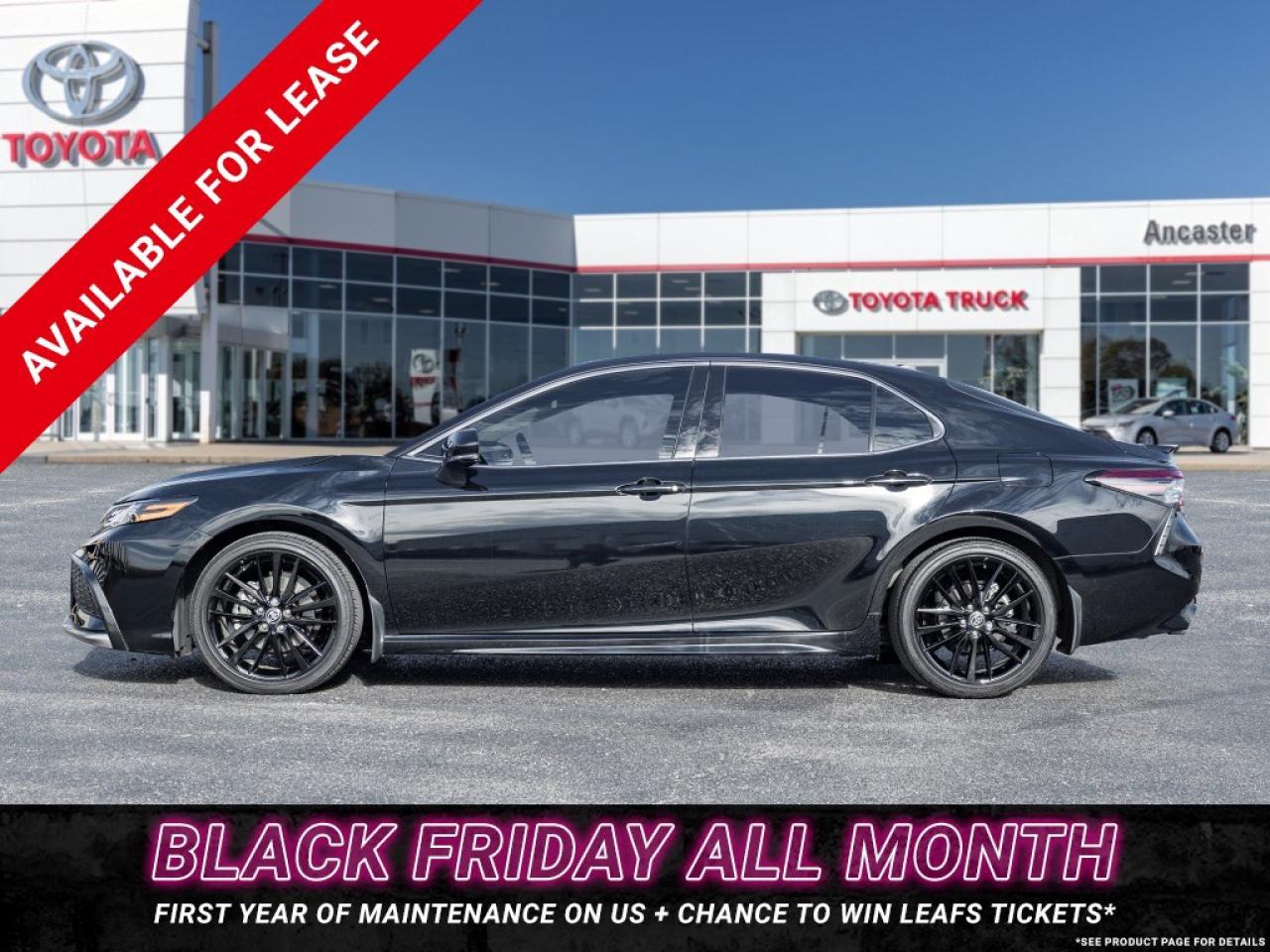 2024 Toyota Camry XSE Auto AWD Photo