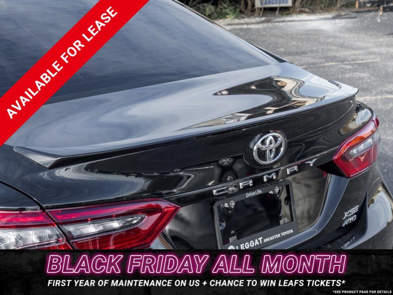 2024 Toyota Camry XSE Auto AWD Photo