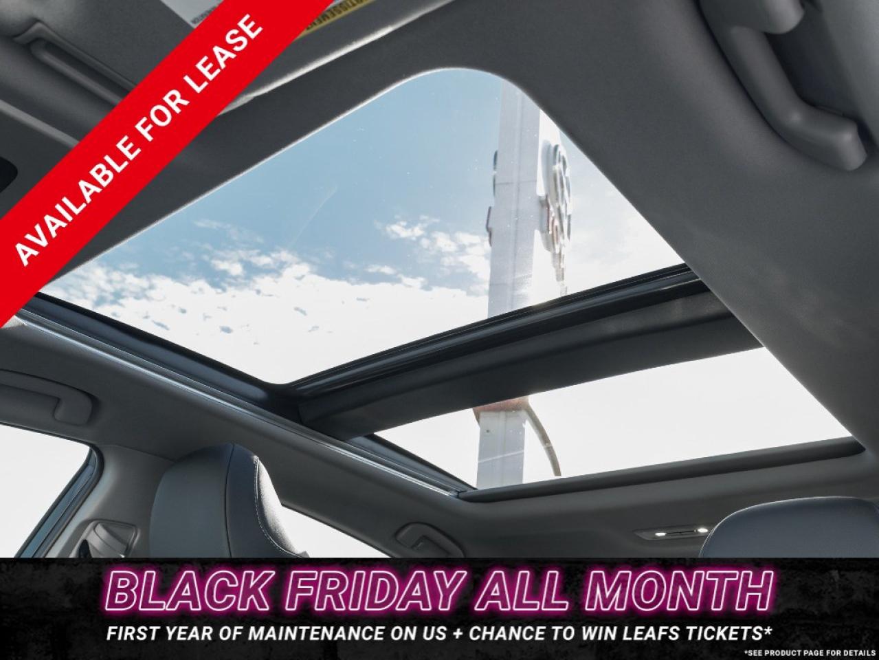 2024 Toyota Camry XSE Auto AWD Photo