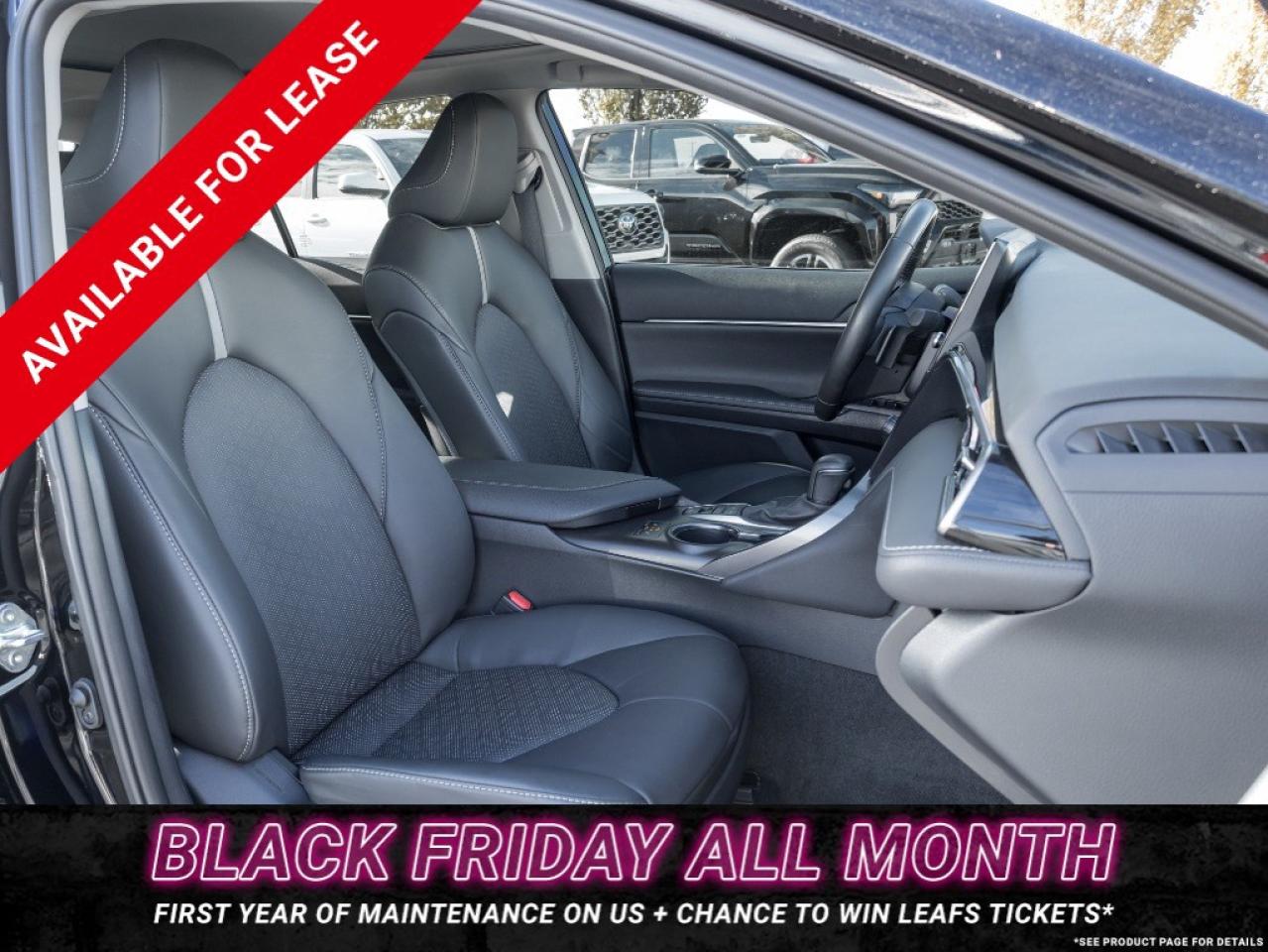 2024 Toyota Camry XSE Auto AWD Photo