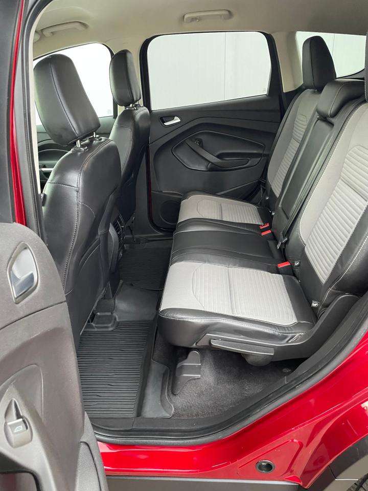 2019 Ford Escape SE Photo