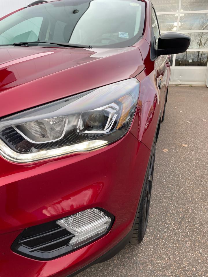 2019 Ford Escape SE Photo