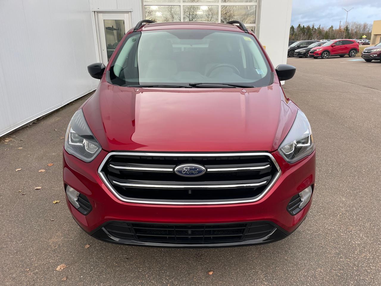 2019 Ford Escape SE Photo