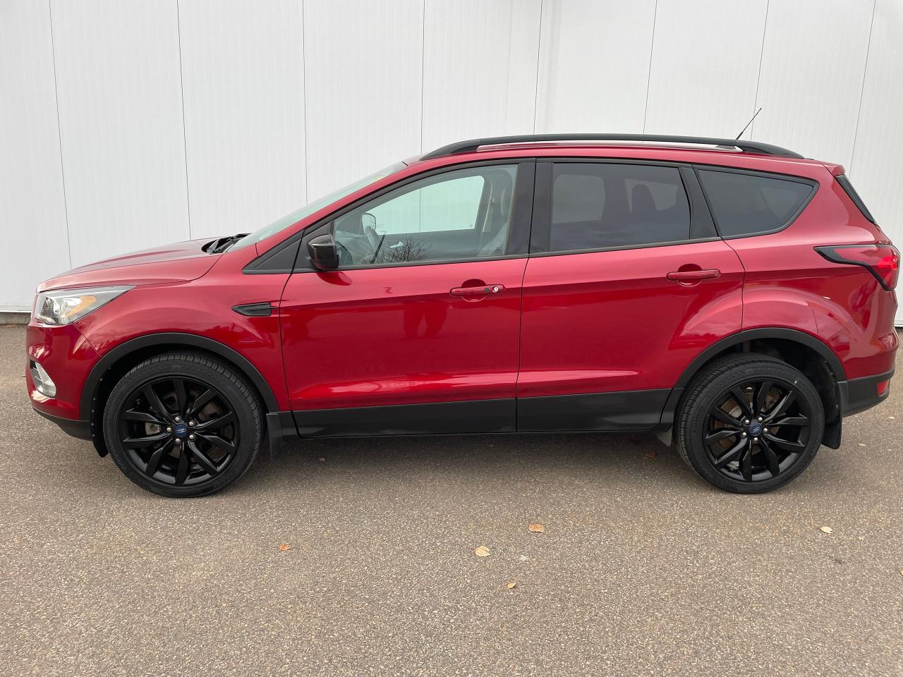 2019 Ford Escape SE Photo1