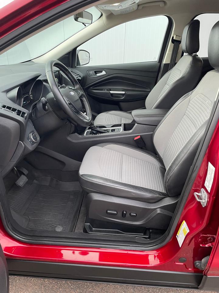 2019 Ford Escape SE Photo