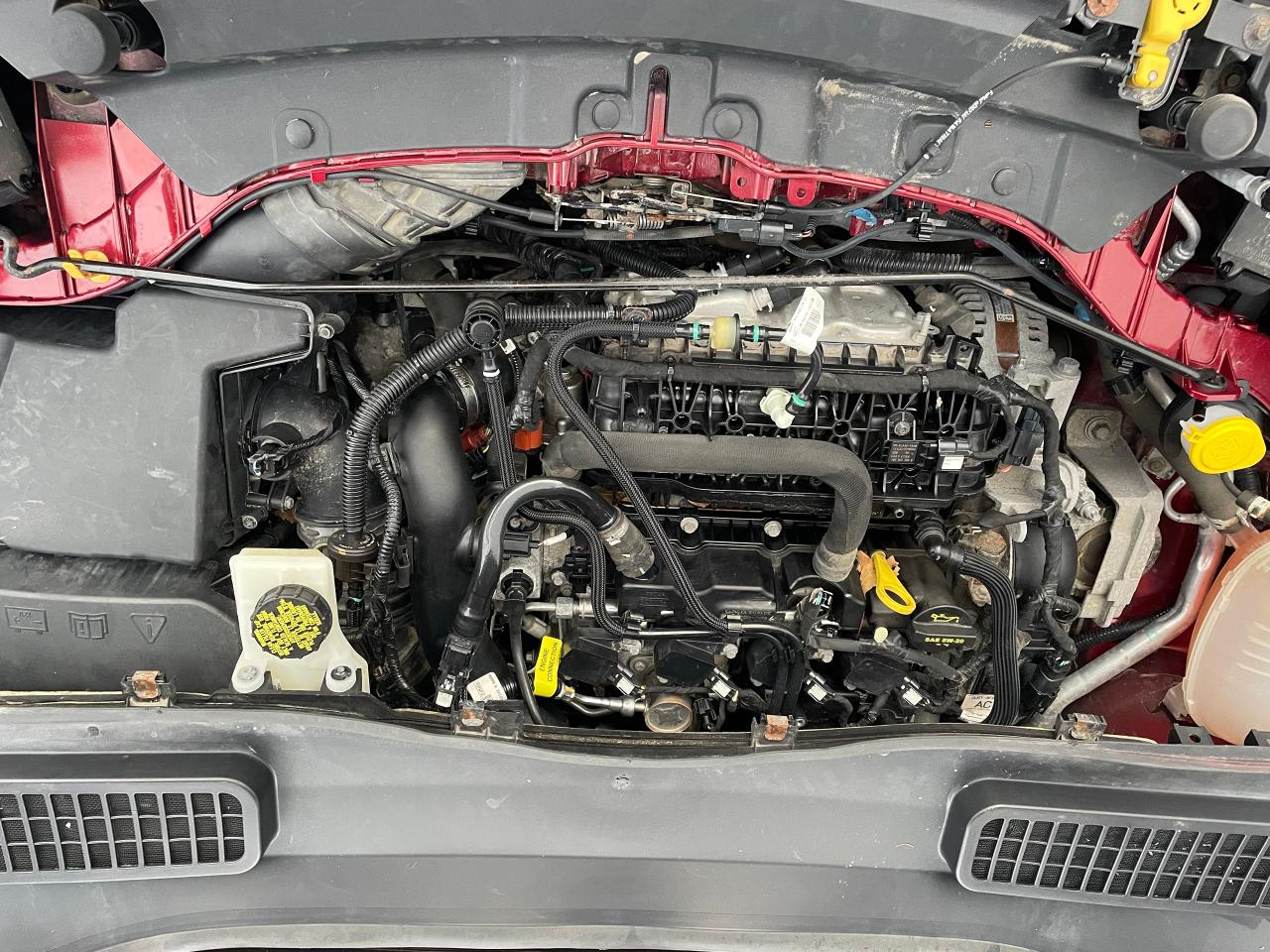 2019 Ford Escape SE Photo