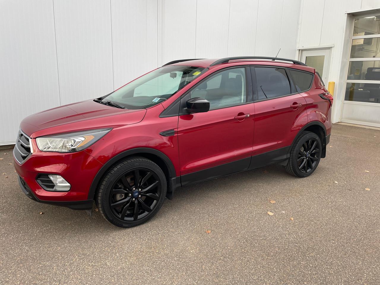 Used 2019 Ford Escape SE for sale in Port Hawkesbury, NS