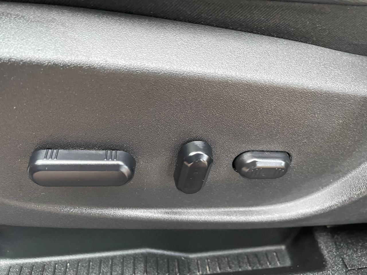 2019 Ford Escape SE Photo