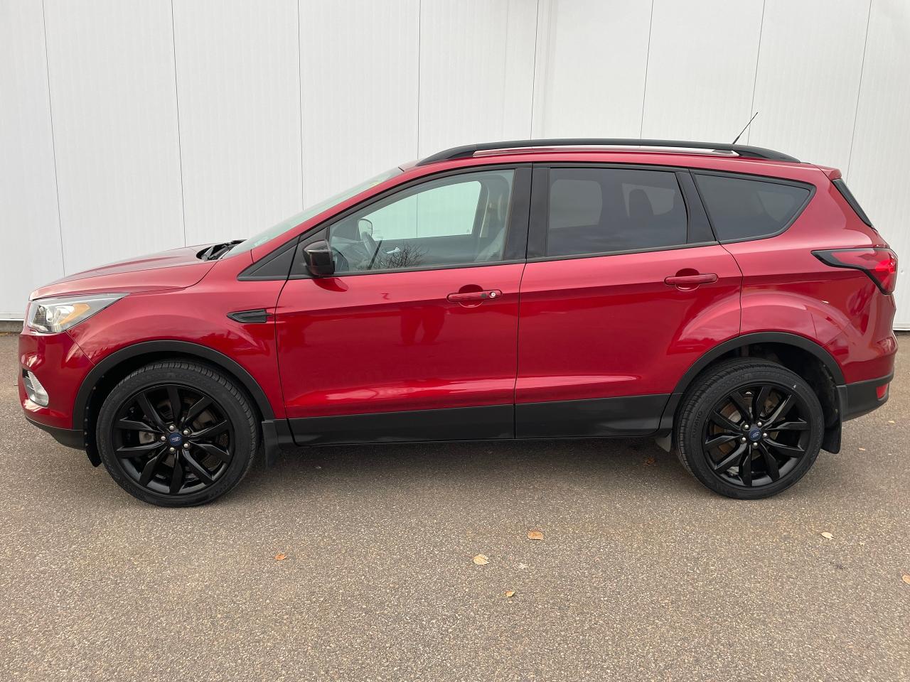 2019 Ford Escape SE Photo