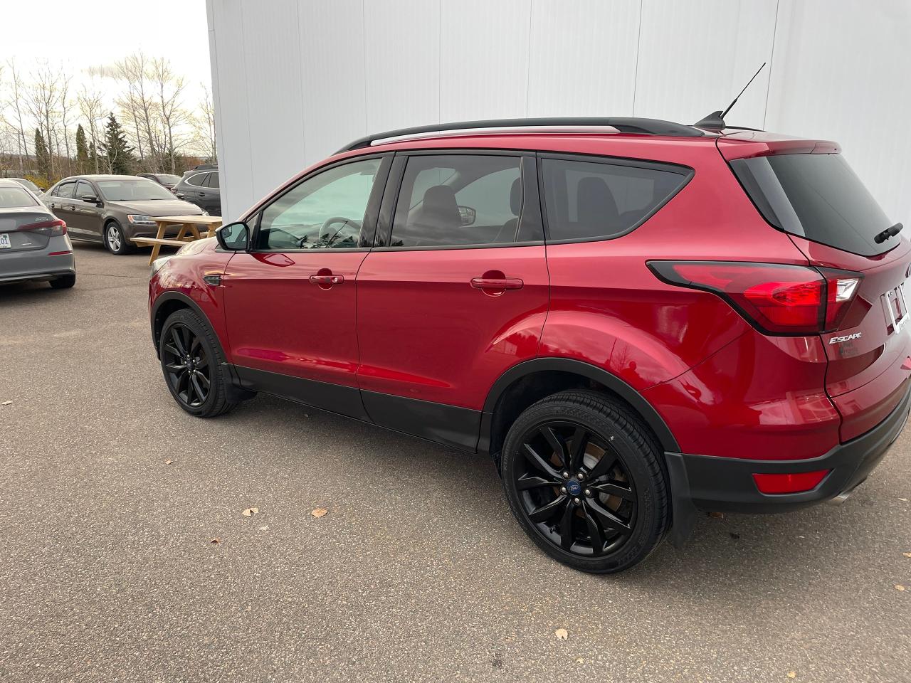 2019 Ford Escape SE Photo