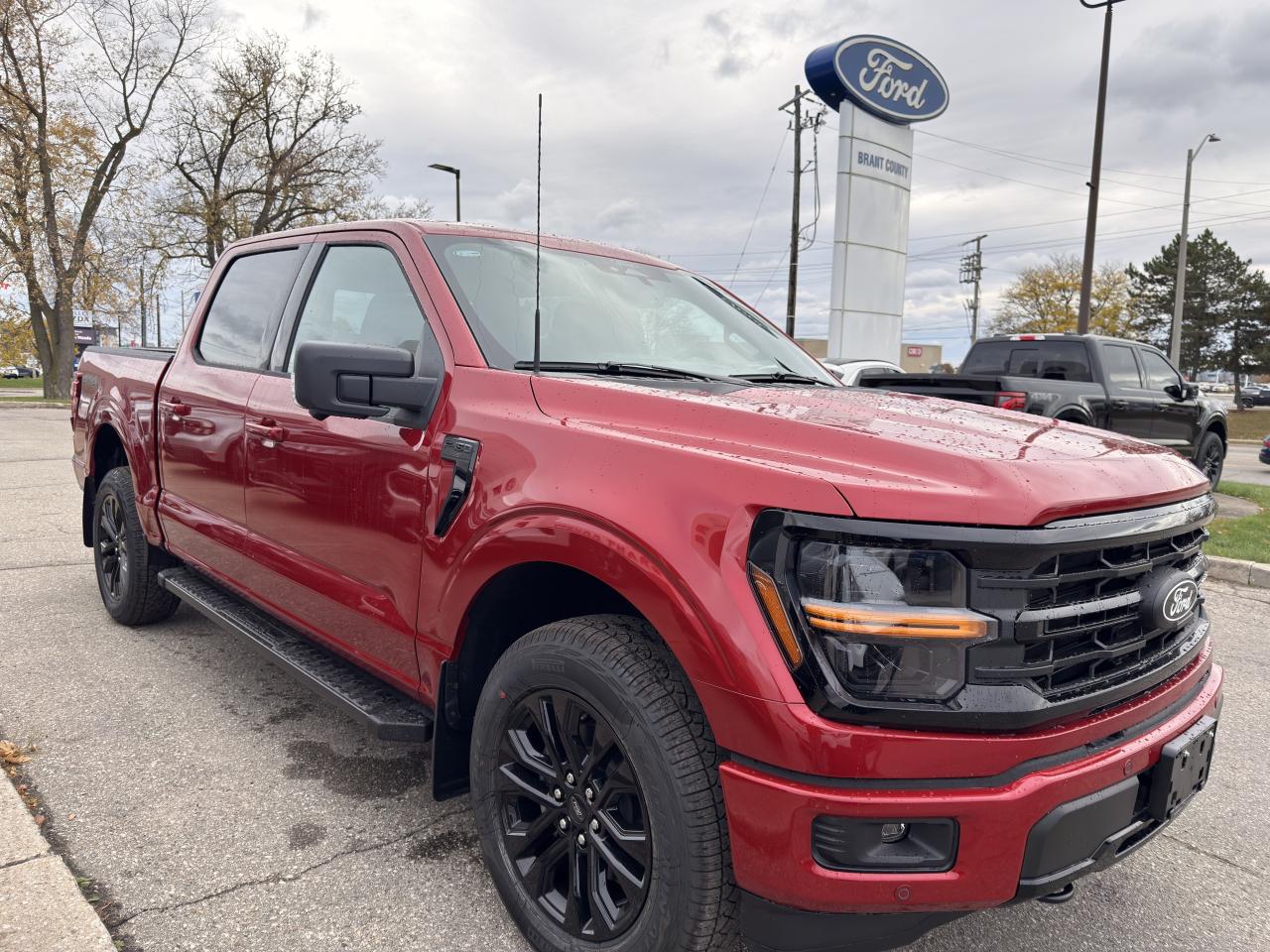 2025 Ford F-150 XLT Photo