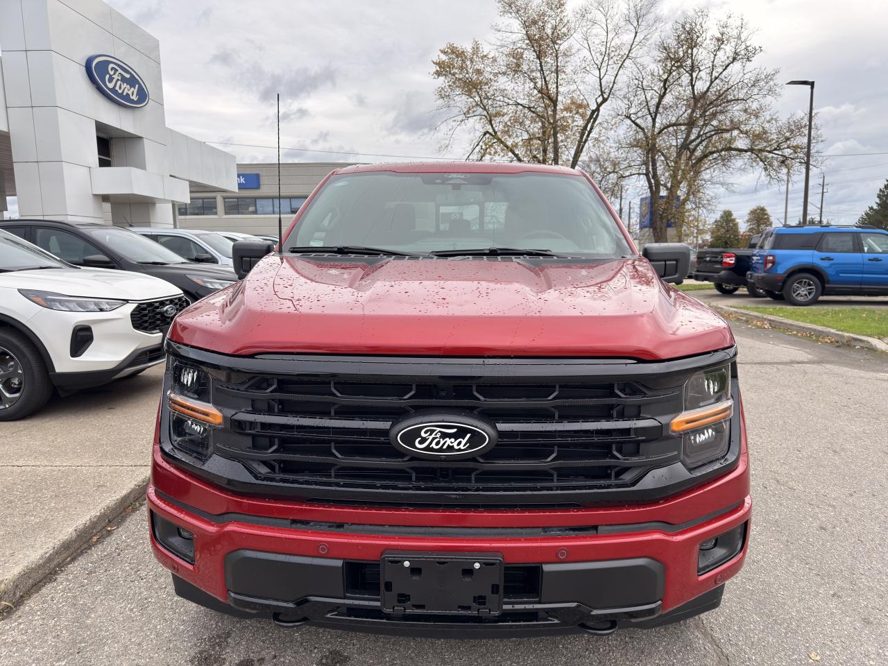 2025 Ford F-150 XLT Photo