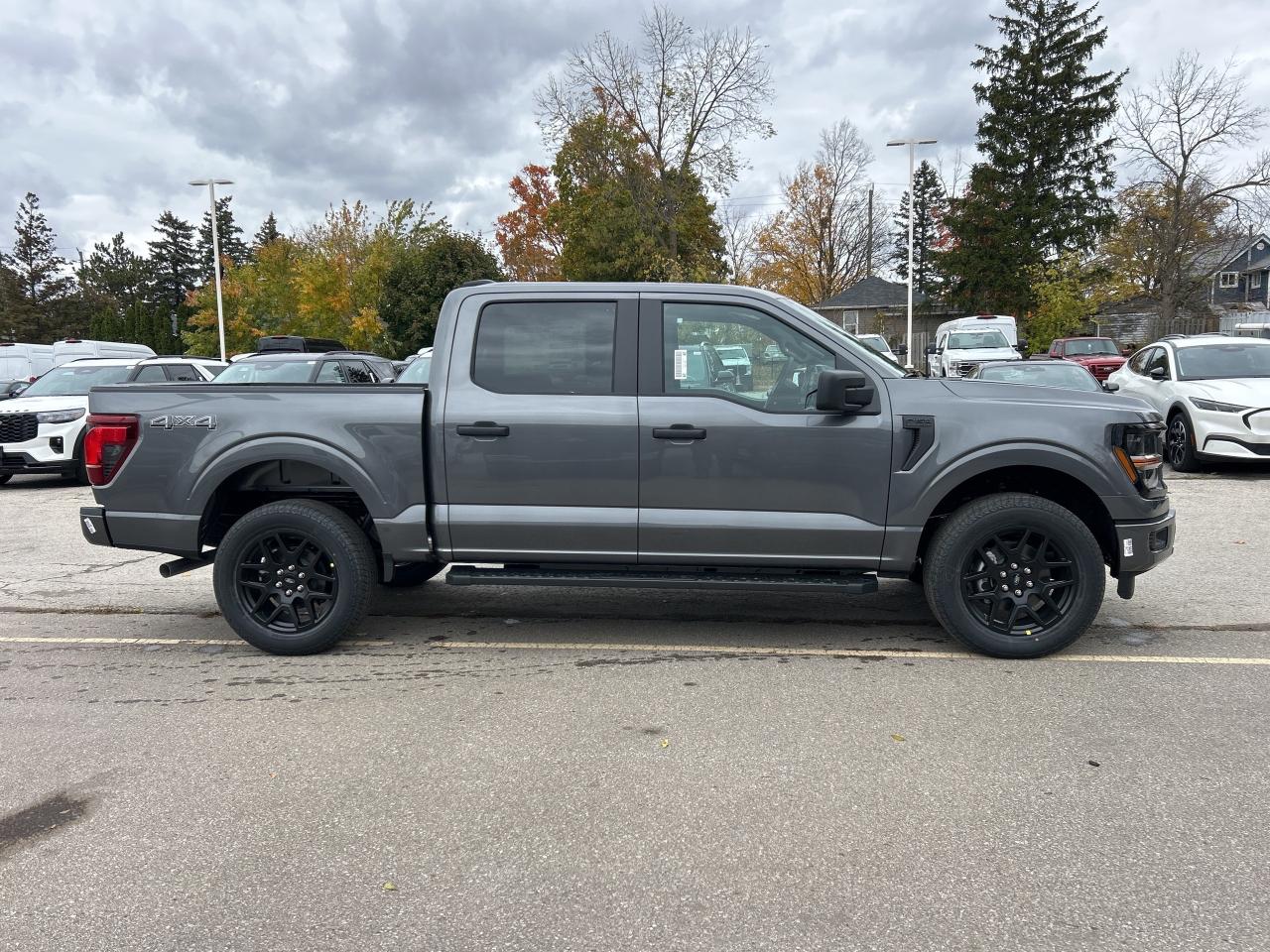 2025 Ford F-150 STX Photo3