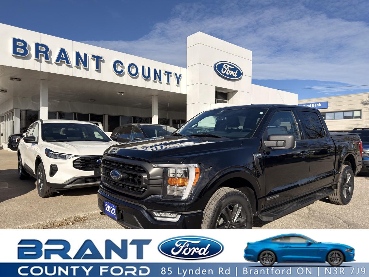 Used 2023 Ford F-150 |POWERBOOST|XLT|SPORT PACKAGE| for sale in Brantford, ON