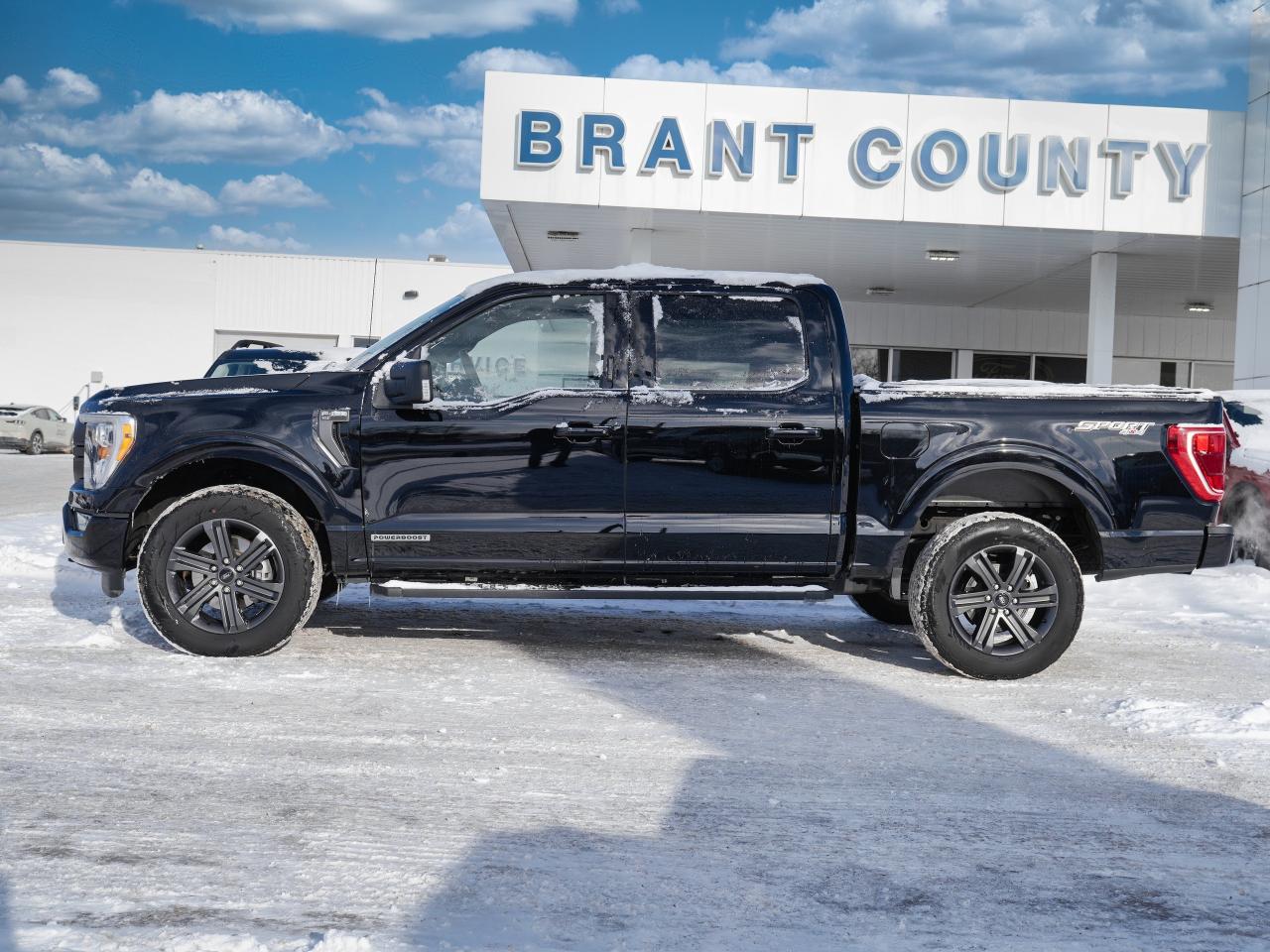 2023 Ford F-150 POWERBOOST| |XLT | SPORT PACKAGE | SUPER CREW CAB Photo