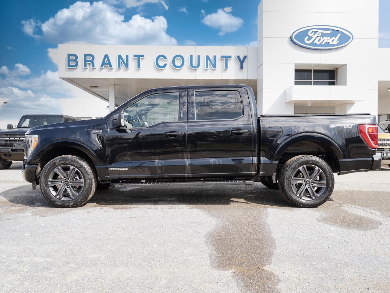 2023 Ford F-150 POWERBOOST| |XLT | SPORT PACKAGE | SUPER CREW CAB Photo