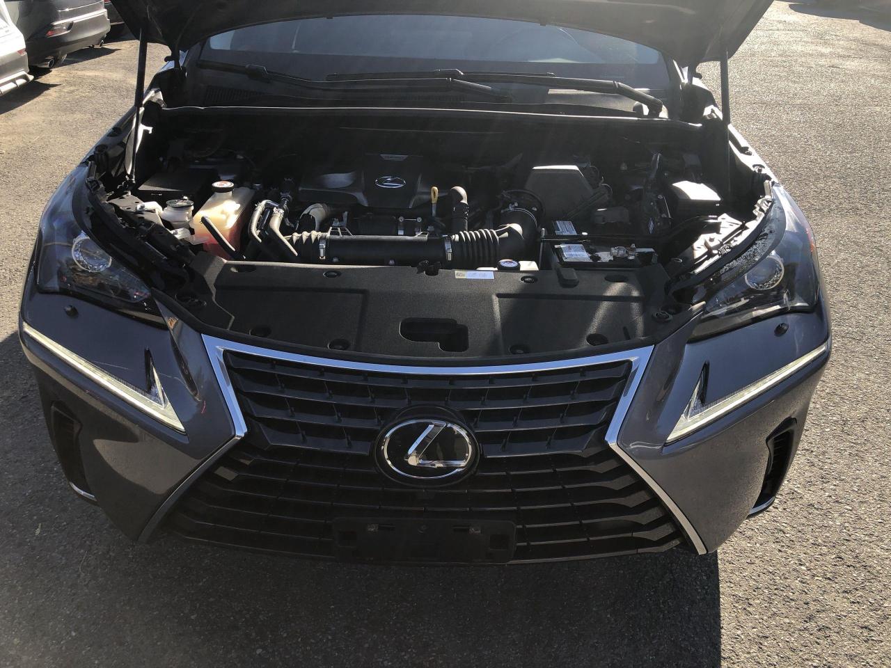 2018 Lexus NX 300 PREMIUM, NULUXE, ROOF, HTD & VENTILATED SEATS, BLI Photo